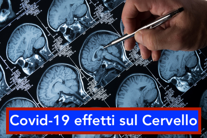 3669a8f3b9a54ade8c0778ebb55fc88djpg