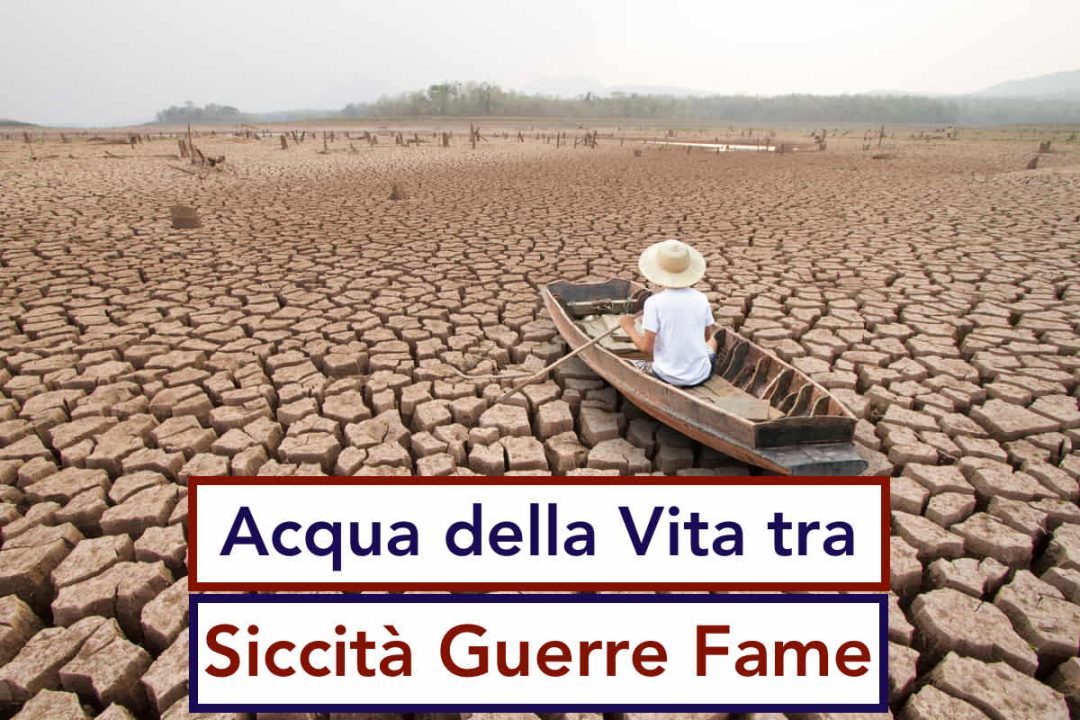 Acqua della Vita tra Siccità Guerre Fame
