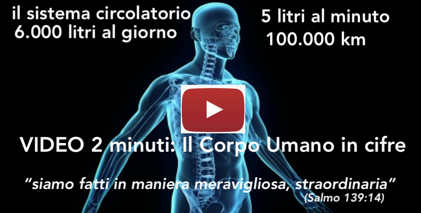 8ea44d13-ba50-4b18-b2a4-5d2770ac93f0png