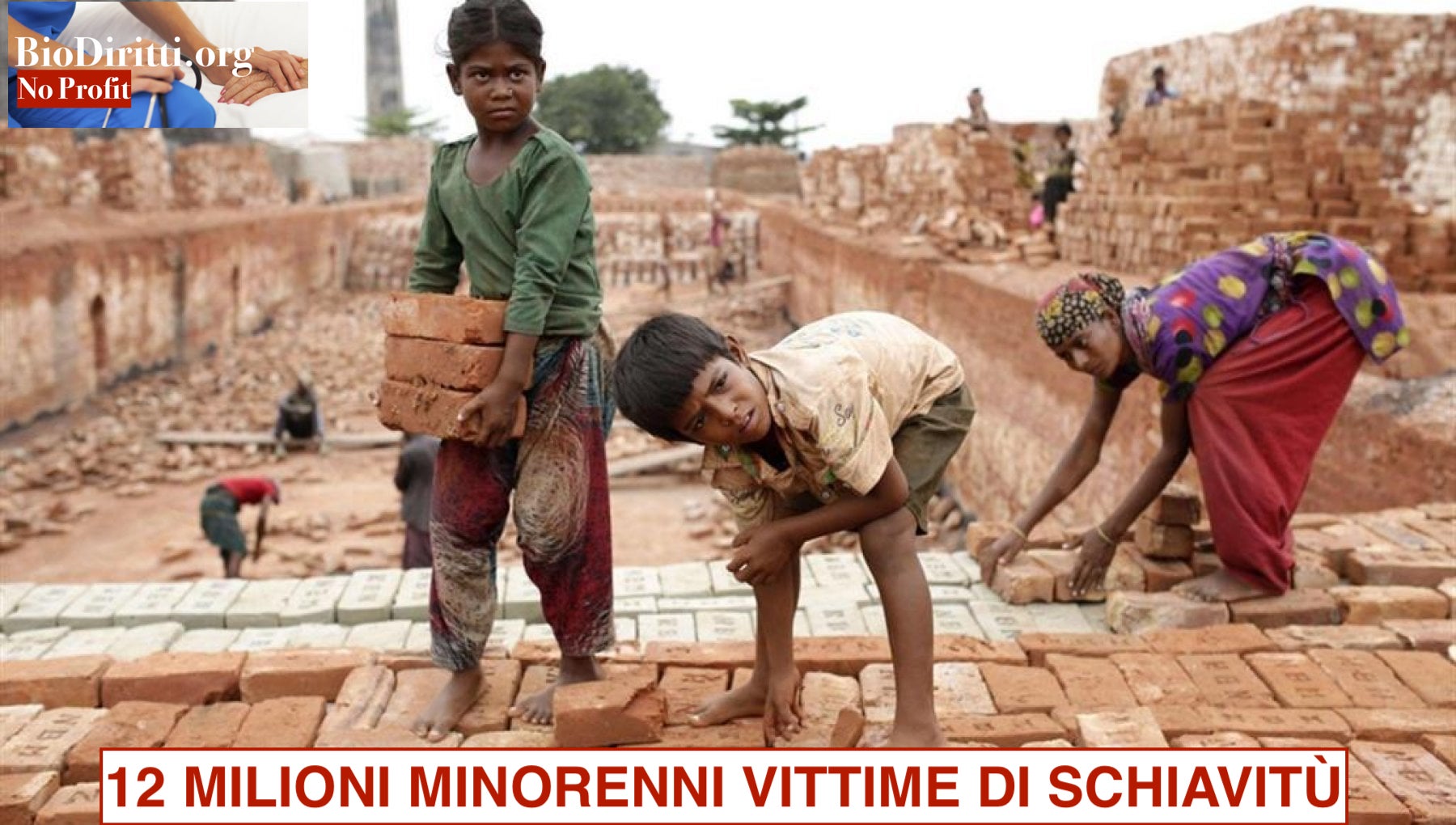 094511275-d9dd6cc4-9a0c-4068-833b-a832c1eb883djpg