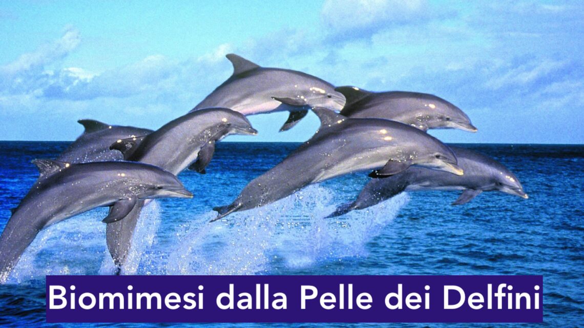 IMG_7519-1140x641jpg