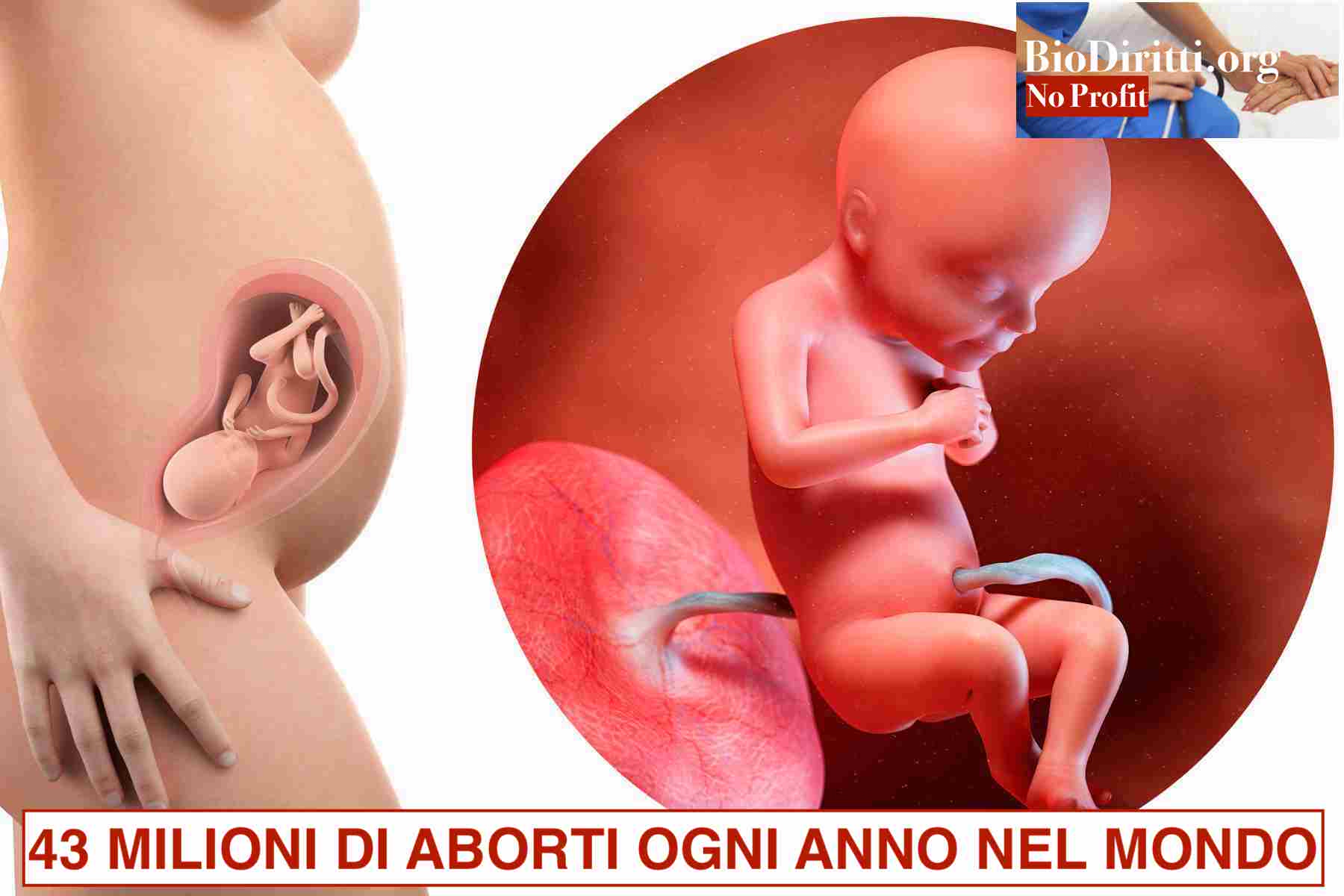 FOTO-ARTICOLI-E-COVER-MASTERCLASS-2024-07-15T095900086jpg