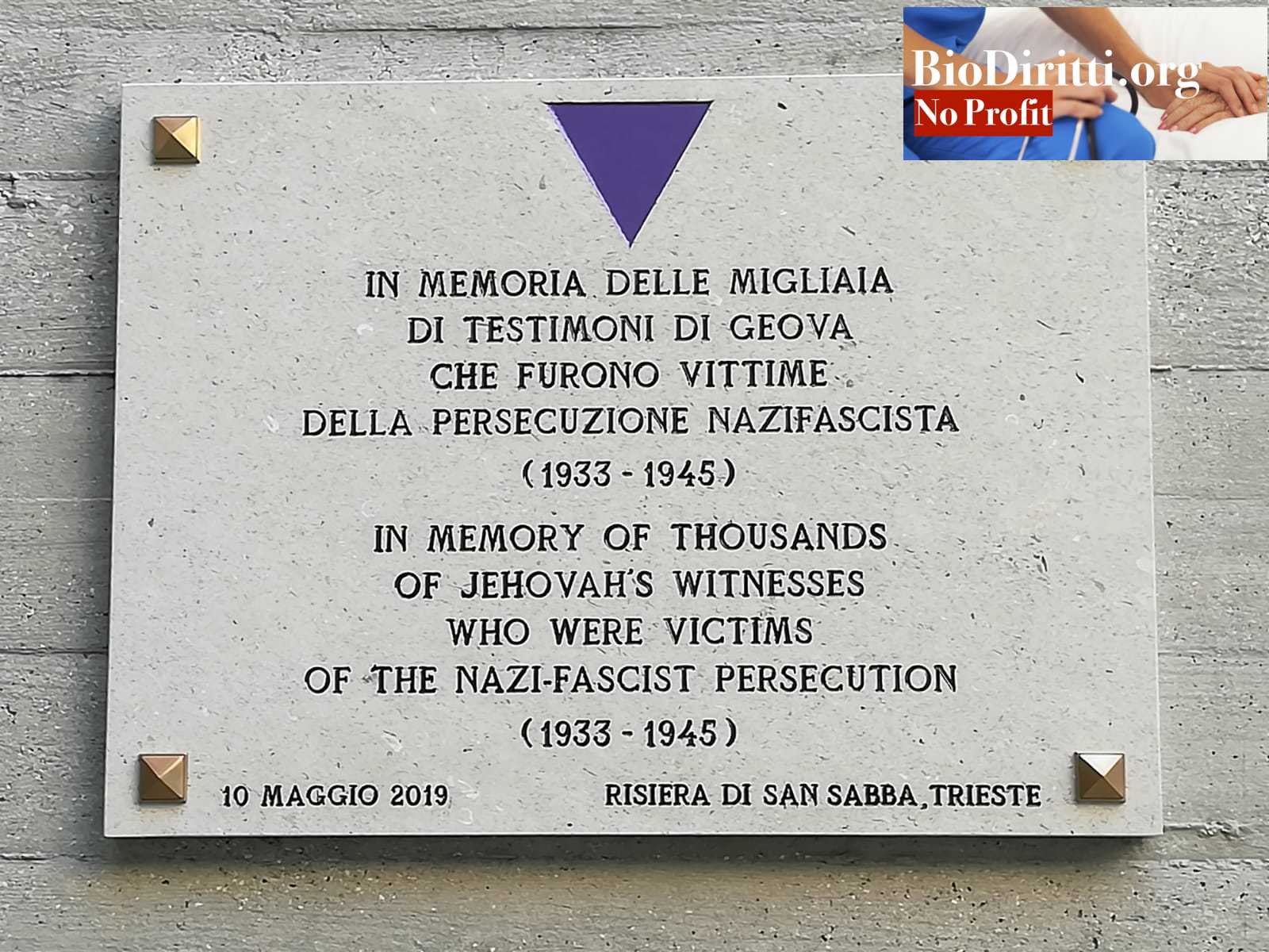 Targa-Triangoli-Violajpg