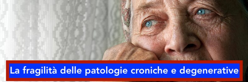 cover06_banner-790x261jpg