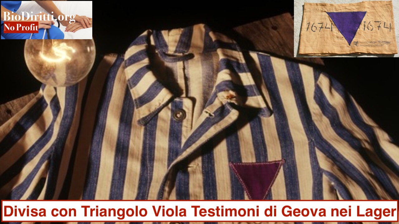 a__i dimenticati dalla storiaa___ i triangoli viola e il giorno della memoriajpg