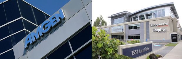 Amgen  Adaptivejpg