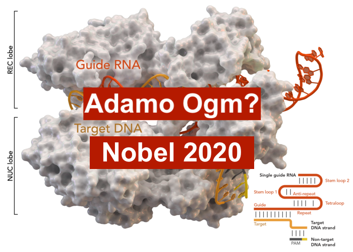 Il Nuovo Adamo: Premio Nobel 2020. Speranze e Grandi rischi.