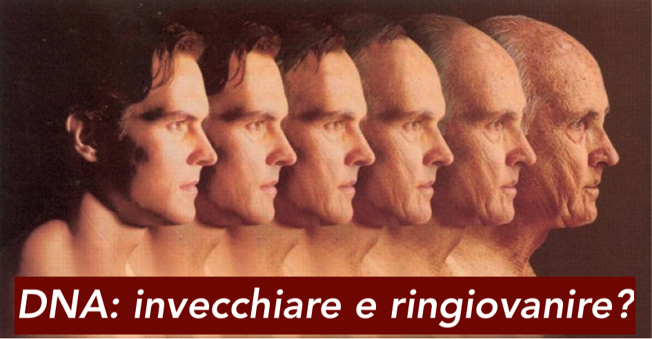 leterna-giovinezza-stop-allinvecchiamento-con-una-trasfusione-invecchiamentopng