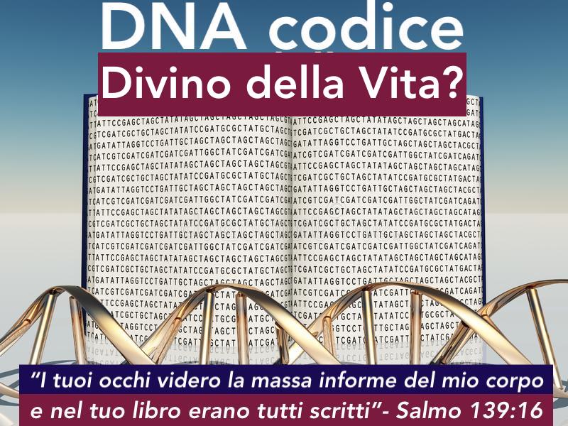 0f366861-37e5-4b71-818c-7167781d2d53jpg