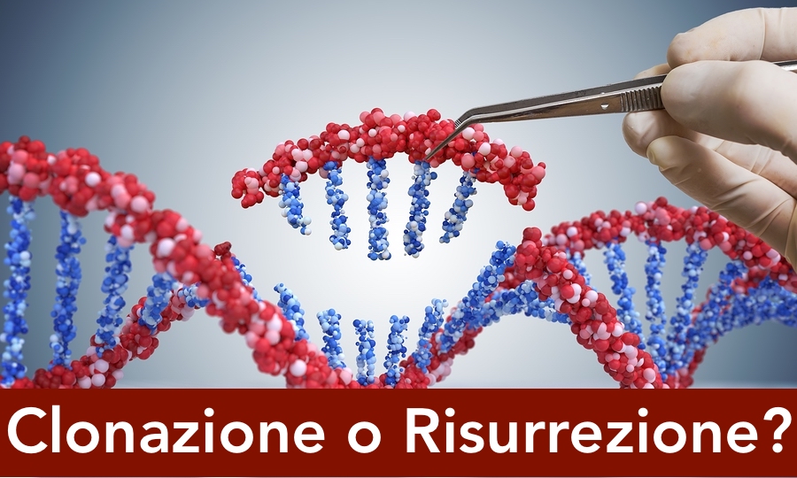 bigstock-Genetic-Engineering-Gmo-And-G-258222670jpg