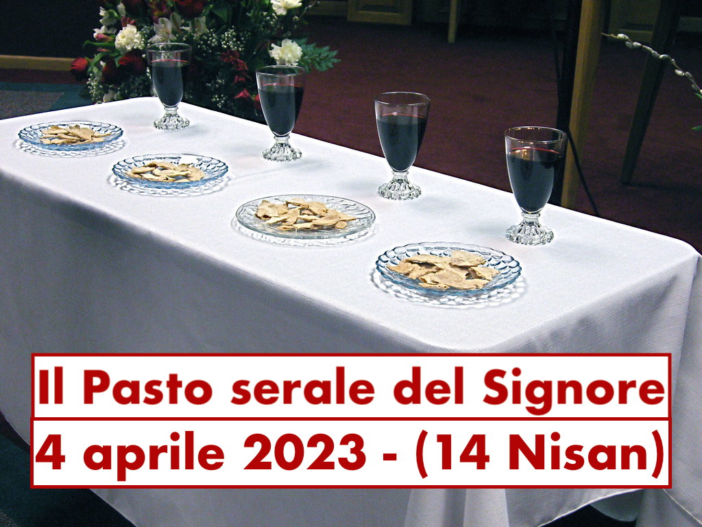 2357354335_f3a147a047_bjpg