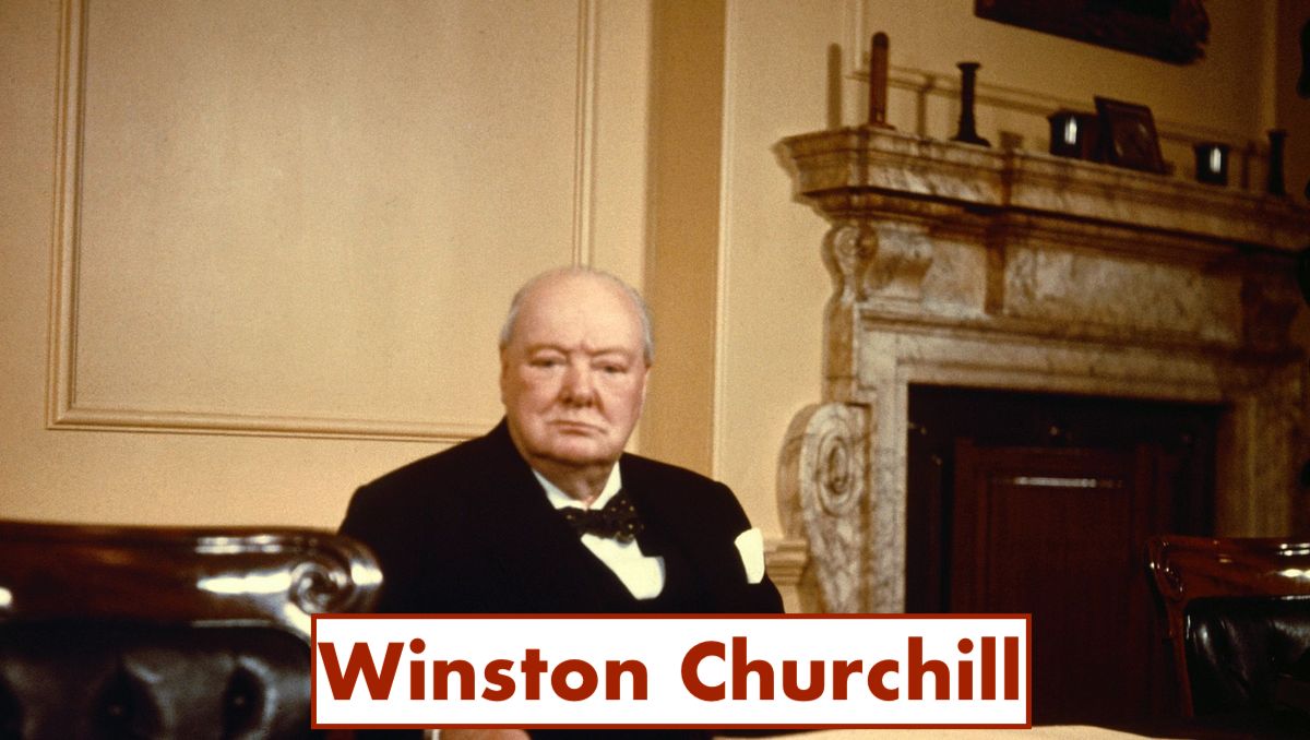 f7b4f3e3-0001-0004-0000-000000619235_w1200_r177_fpx5284_fpy4372jpg