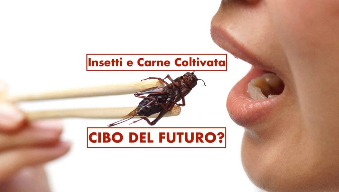 INSETTI E CARNE COLTIVATA – CIBO DEL FUTURO?