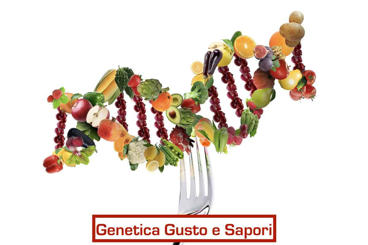 dna-preferenze-cibijpg