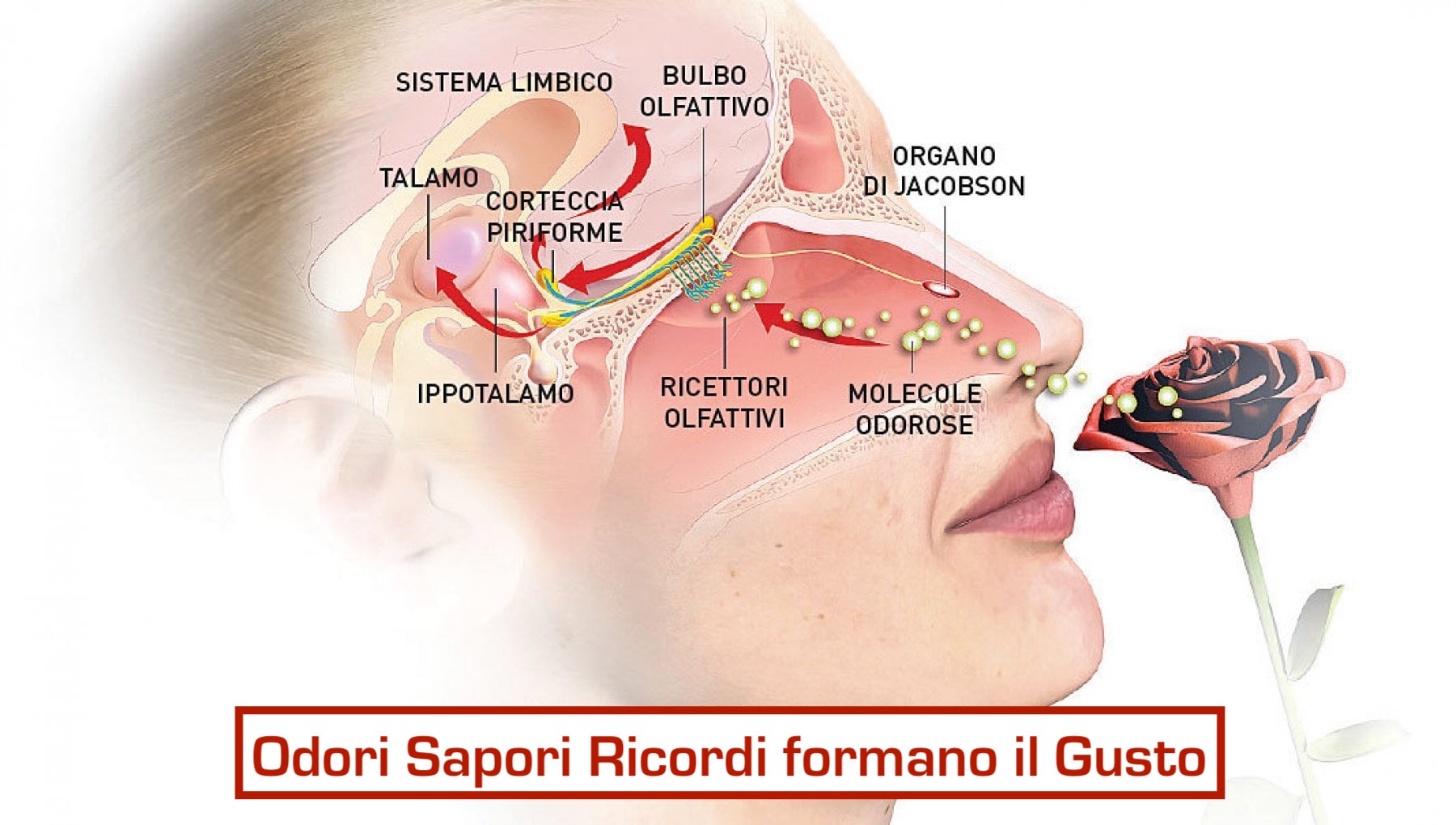 e6507804-92db-41d3-9db7-55eeb5d7fb22jpg