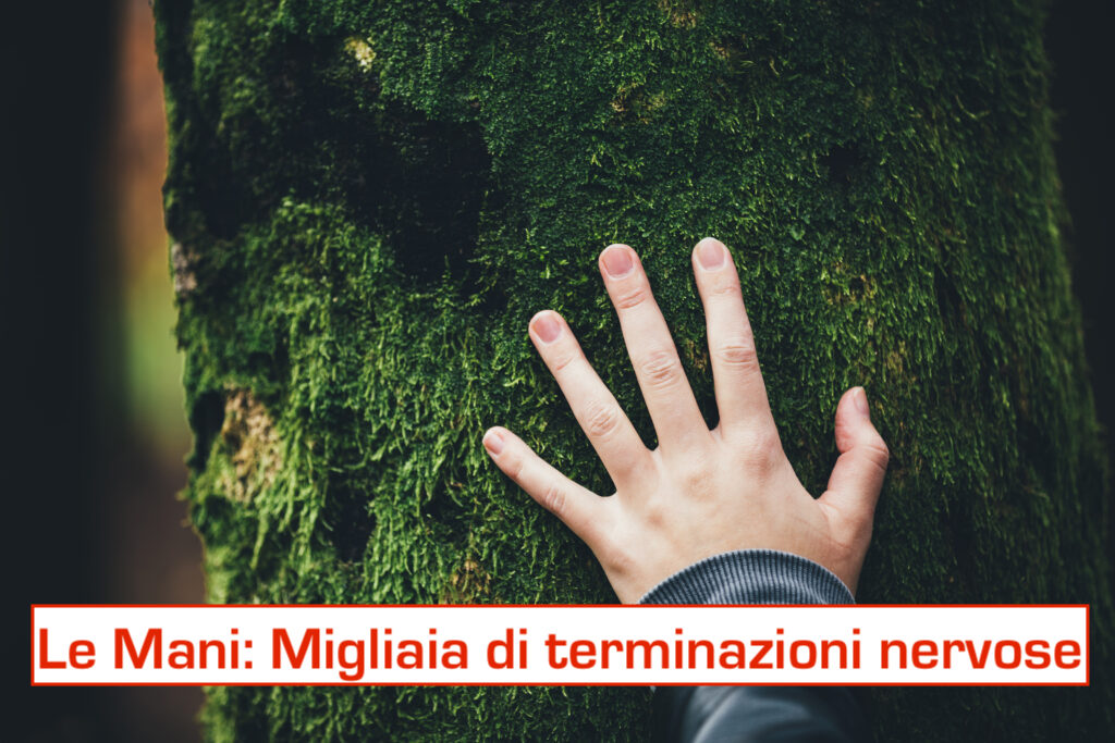 header-tastsinn-fingerspitzengefuehl-1024x0-c-defaultjpg