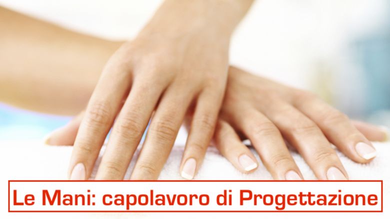 manibelle-780x438jpg